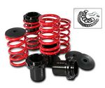 1996 Honda Accord Red Coilovers Lowering Springs Kit with Scale