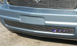 2005 Ford Mustang V6 Aluminum Lower Bumper Grille Insert