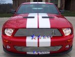 Ford Mustang Shelby GT500 2007-2009 Aluminum Billet Grille Insert