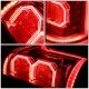 Ford F150 2015-2017 Red LED Tail Lights Outline