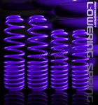 1993 Acura Integra Purple Lowering Springs