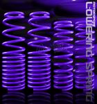 Honda CRX 1988-1991 Purple Lowering Springs