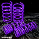 1997 Nissan Maxima Purple Lowering Springs 1997 Nissan Maxima Purple Lowering Springs