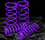 2005 Ford Focus Purple Lowering Springs 2005 Ford Focus Purple Lowering Springs