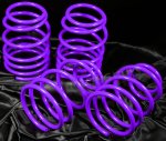 1996 Dodge Neon Purple Lowering Springs