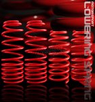 2002 Honda Accord Red Lowering Springs