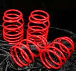 1996 Dodge Neon Red Lowering Springs