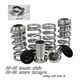 Acura Integra 1990-2001 Silver Coilovers Lowering Springs Kit