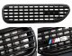 BMW 3 Series Coupe 2001-2006 Black Fender Grille