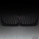 BMW X6 2007-2011 Black Sport Grille